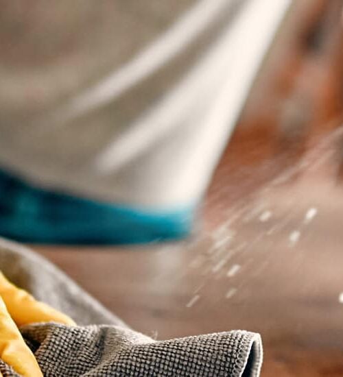 Seasonal Clean Up, Maine