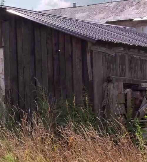 Rubbish Doctor old shed removal services