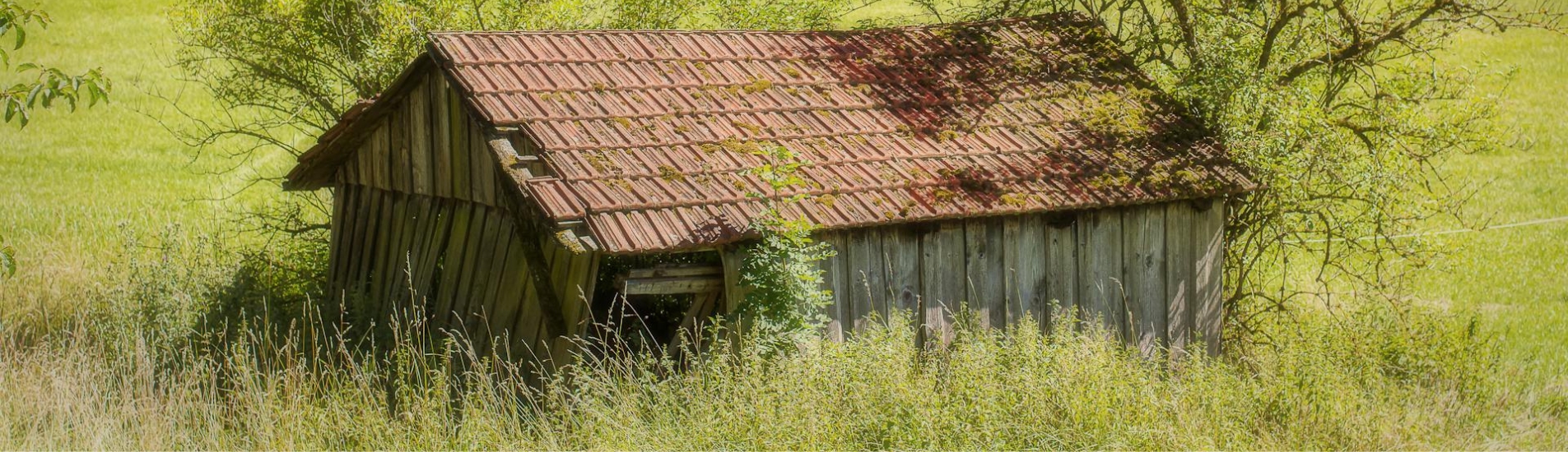 That Backyard Shed Isn’t Going to Remove Itself